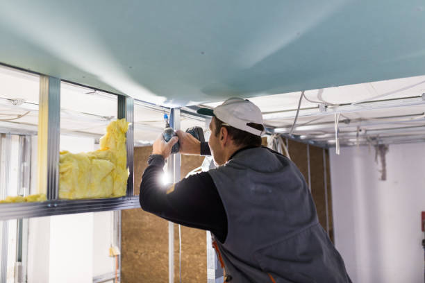 Best Specialty Insulation in Mountain Lake, MN