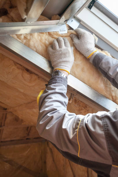 Best Residential Insulation in Mountain Lake, MN