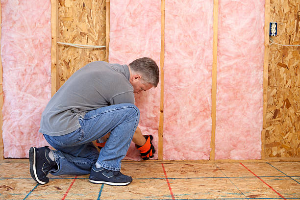 Best Insulation Materials and Products in Mountain Lake, MN