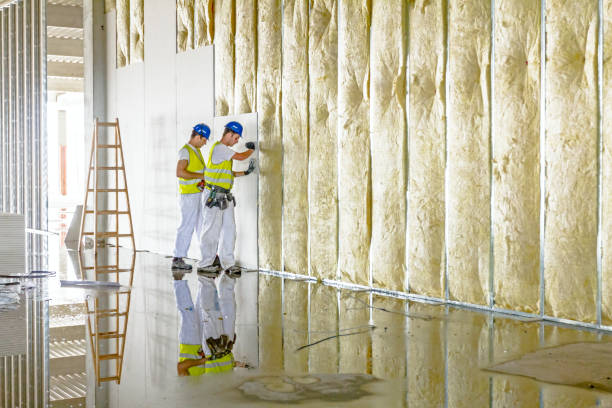Best Insulation Installation Services in Mountain Lake, MN